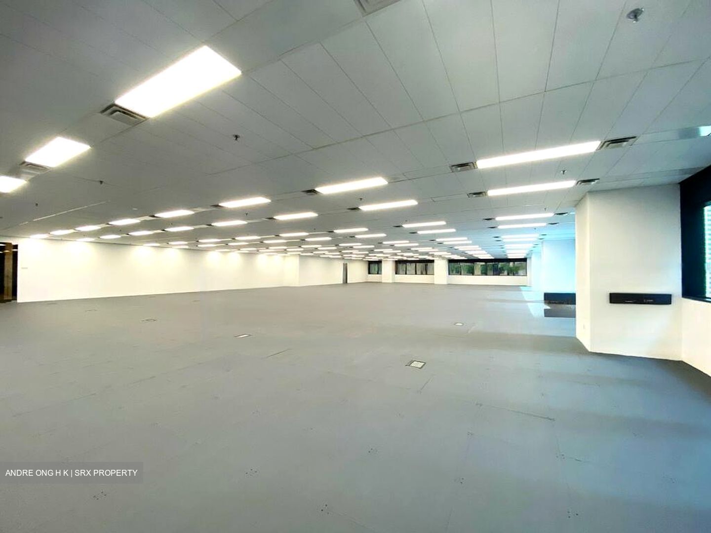 Robinson 77 (D1), Office #460163881